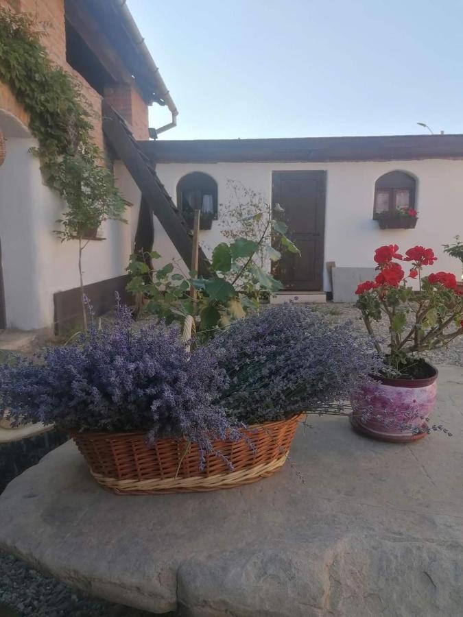 Casa Huber Hotel Karcfalva Kültér fotó